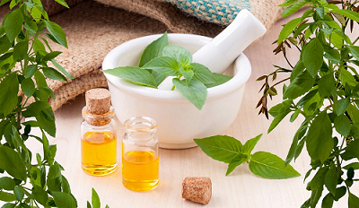 Herbal extract uses