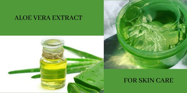 Benefits Of Aloe Vera For Skincare