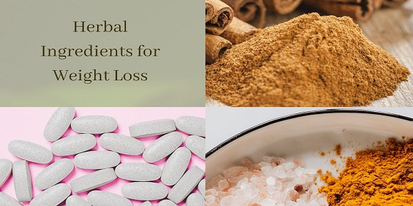 HERBAL PRODUCTS FOR WEIGHT LOSS