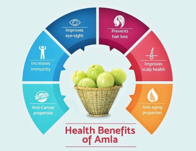 ADD AMLA IN YOUR DAILY DIET