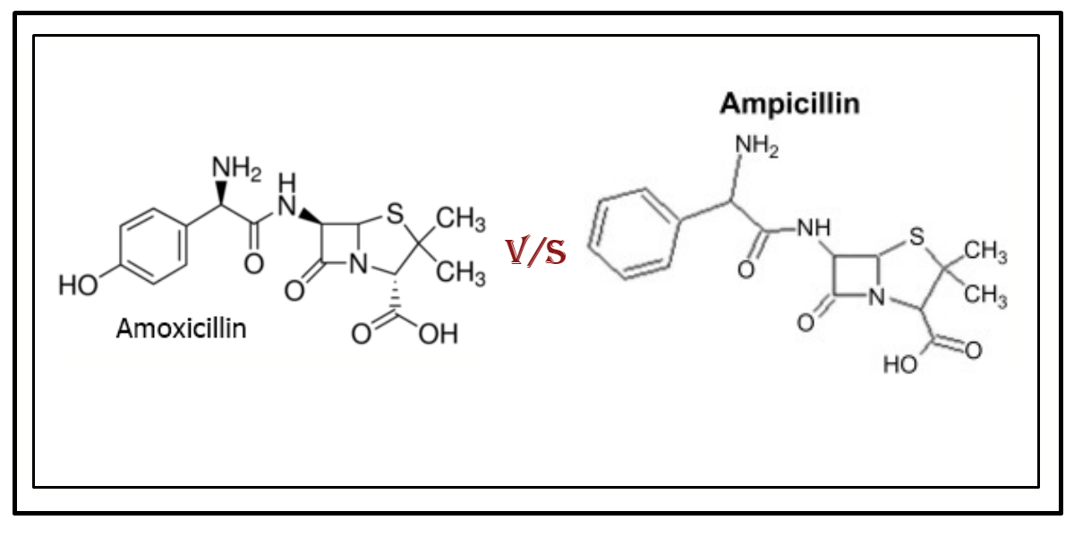 augmentin structure