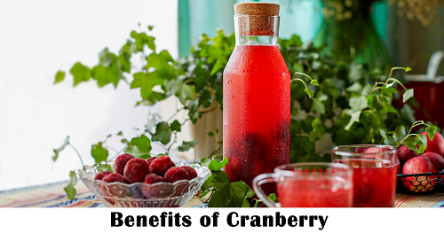 Cranberry Benefits & Therapeutic Effects