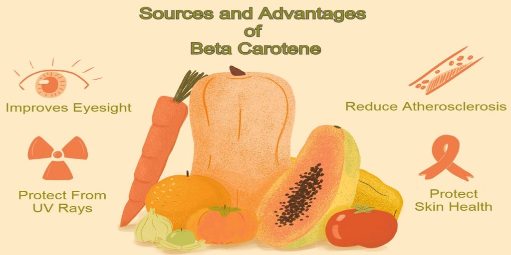 Health Benefits Of Beta Carotene | Anzen Exports