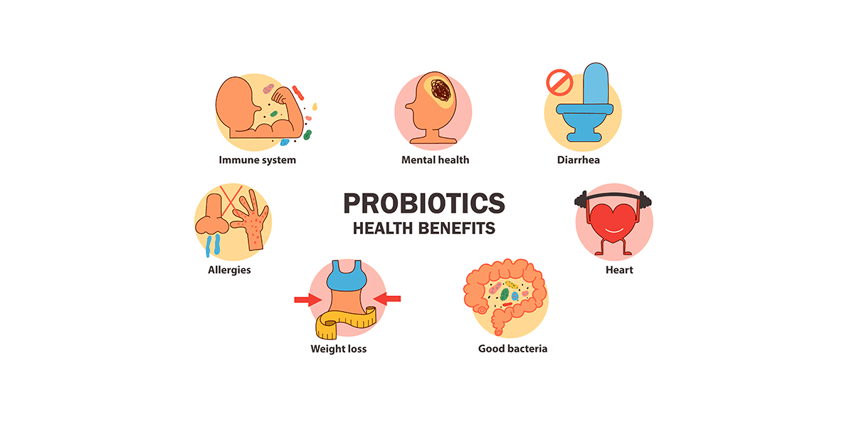 Probiotics-healthy-bacteria-that-promote-digestion-and-Their-Functions.jpeg