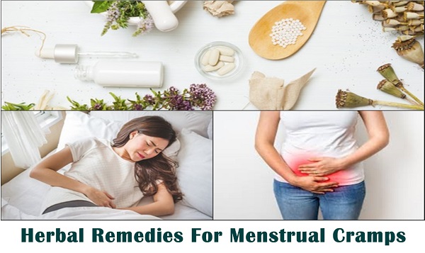 Herbal Remedies for Severe Menstrual Cramps