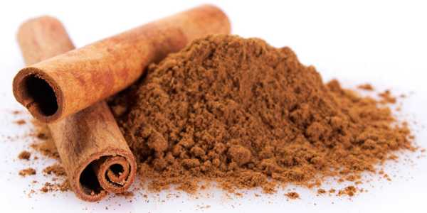 Potency of Cinnamon Bark Extract