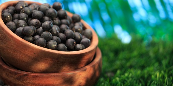 Age-Defying Beauty of Acai Berry