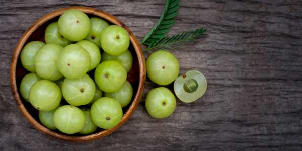 Amla: A powerhouse of nutrients