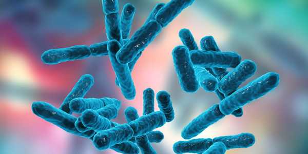 Lactobacillus sporogenes to treat diarrhoea in children