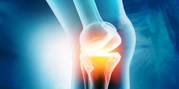 Chondroitin - effective in fighting Osteoarthritis