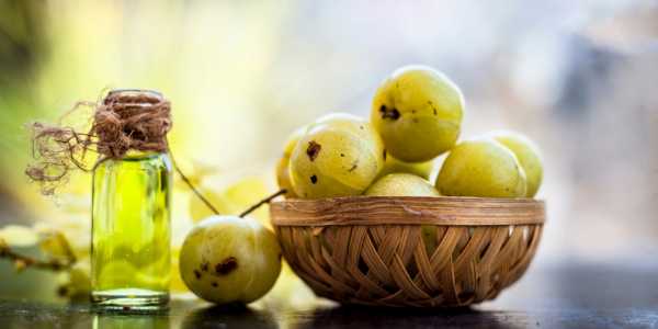 Amla: A powerhouse of nutrients