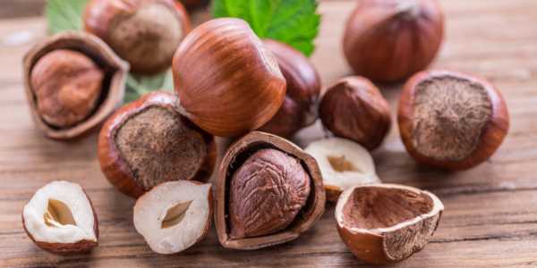 Hazelnuts– making the world a healthier place