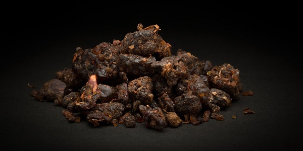 Guggul – Anti-Inflammatory Powerhouse