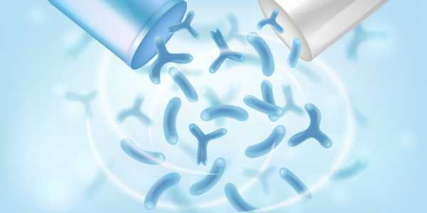 Bifidobacterium bifidum – Promoting Digestive Health