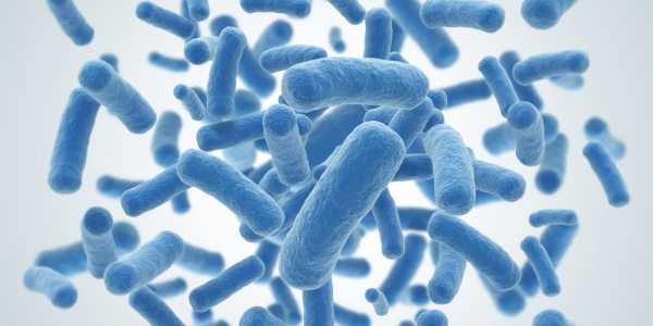 Garenoxacin – Treating Bacterial Infections