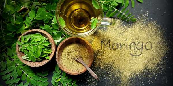 Moringa Oleifera – Health Benefits from the Miracle Tree