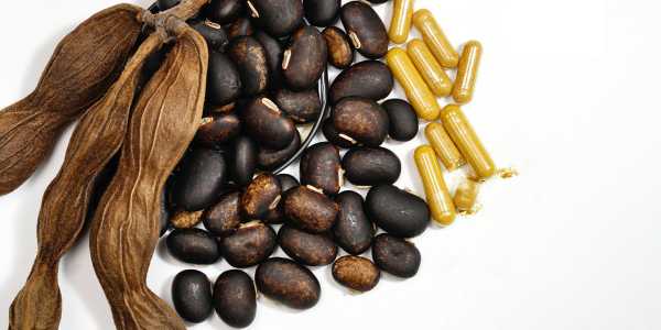 Also known as Velvet bean, Mucuna Prurien's benefits may extend to nervous disorders, Parkinson's disease, and an aphrodisiac